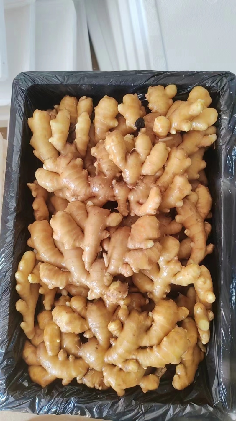 山东临沂精品小黄姜大量供货货源充足欢迎咨询联系