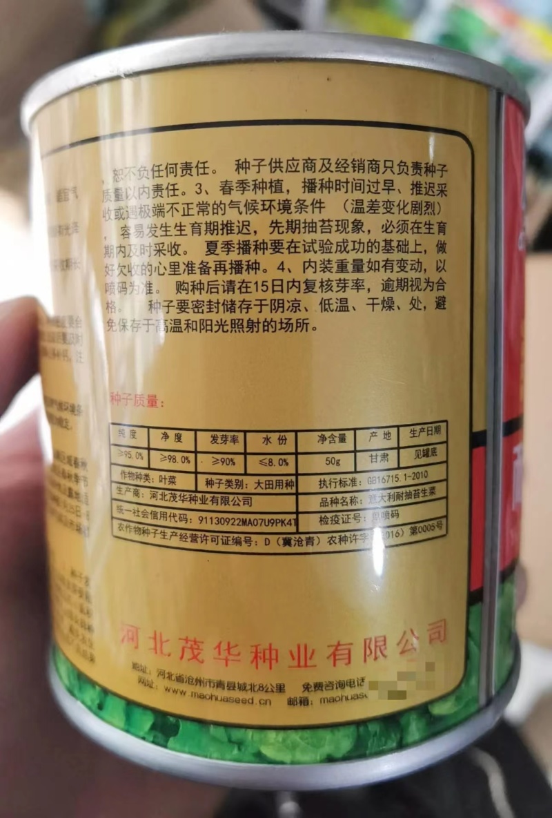 耐抽苔意大利生菜种子耐湿耐热耐寒高纯度，颗型美观四季