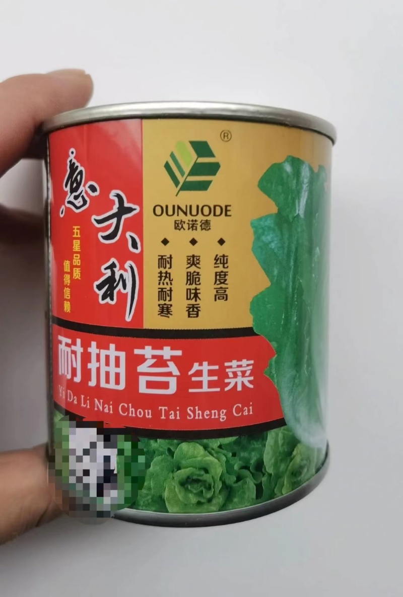 耐抽苔意大利生菜种子耐湿耐热耐寒高纯度，颗型美观四季