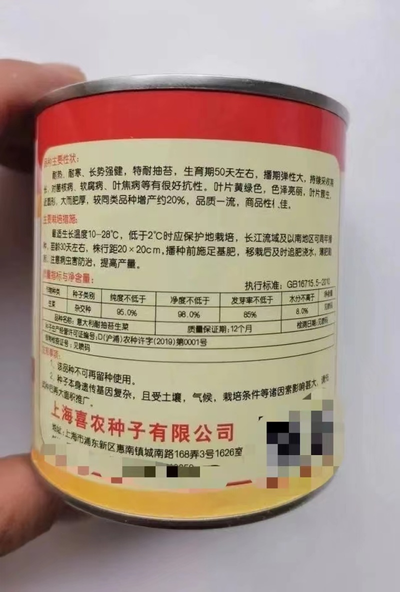 【高品质】意大利生菜种子高纯度高芽率耐热耐寒耐湿半结球