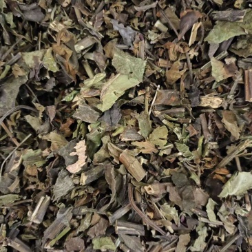 草珊瑚批发