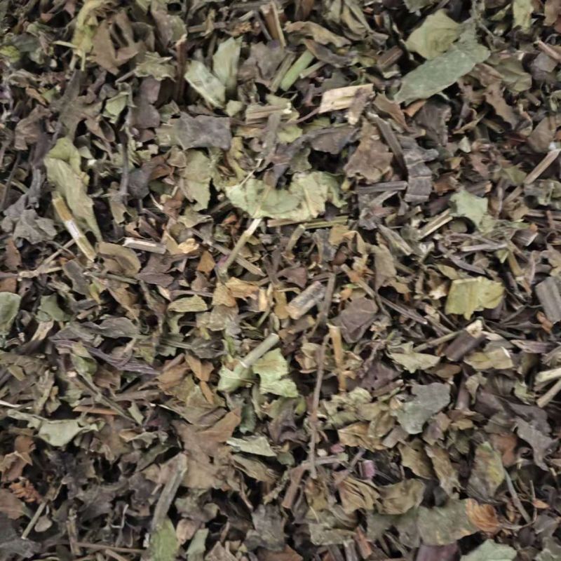 草珊瑚批发