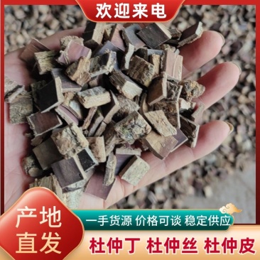 杜仲丁，杜仲丝，杜仲个子质好量大价格便宜欢迎选购