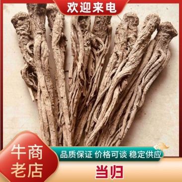 当归甘肃当归无硫精品当归规格齐全量大从优，全年发货