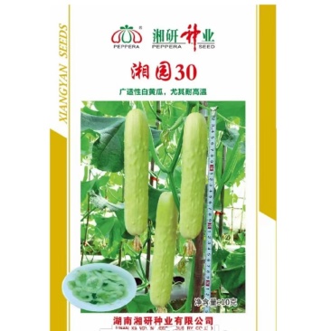 湘园30白黄瓜种子早熟耐高温甜脆多汁黄瓜味浓