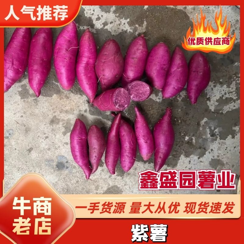 【精选】紫薯湖北精品紫薯直供大型商超，全国发货视频查看