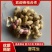 【鲜花生】河南开封鲜花生产地直发对接商超市场