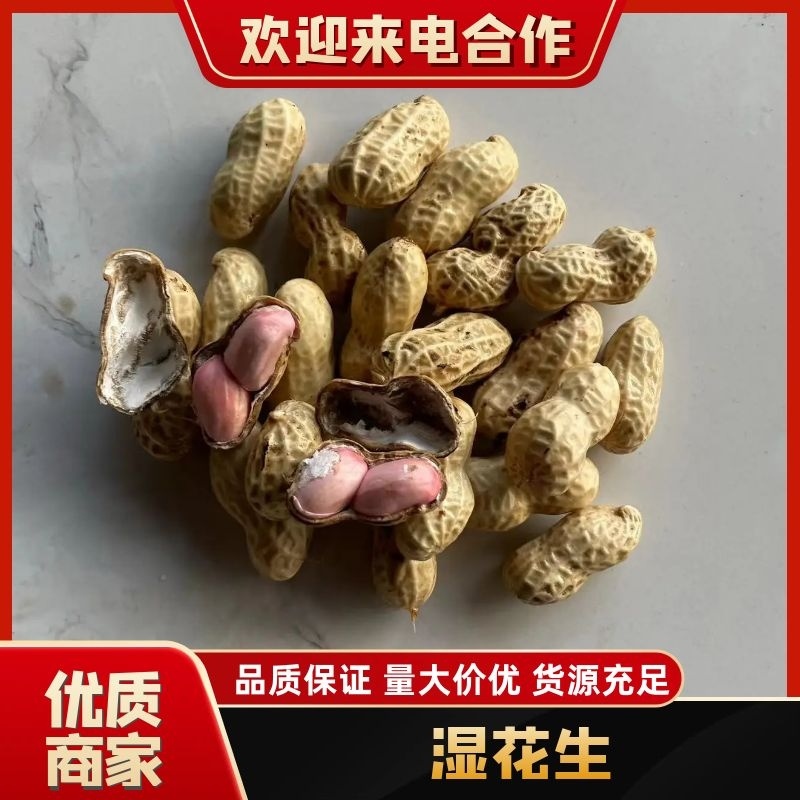 【鲜花生】河南开封鲜花生产地直发对接商超市场