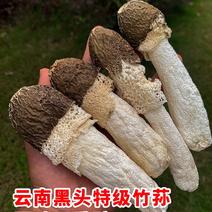 野生竹荪干货250g云南菌子特产黑帽织金竹荪孙菇营养