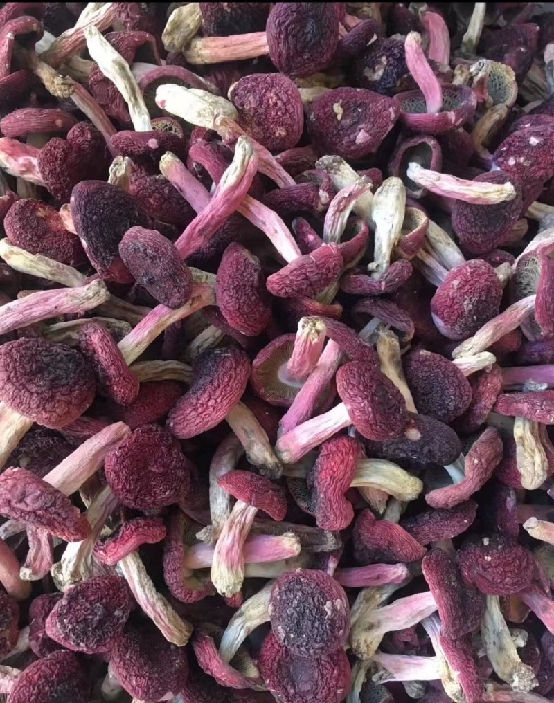 【红菇】云南特产正红菇大红菇香甜红菇月子菇红蘑菇干货批发