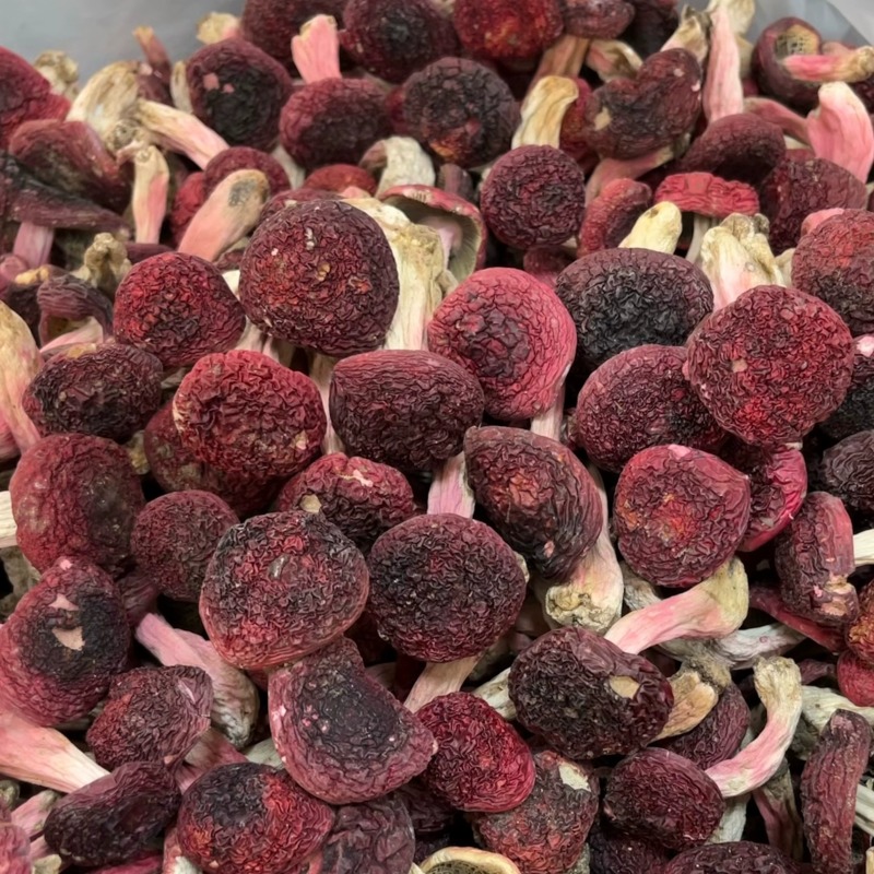 【红菇】云南特产正红菇大红菇香甜红菇月子菇红蘑菇干货批发