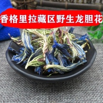 玉美人纯虞美人干花龙胆花草美女人花草特产真货好货