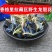 玉美人纯虞美人干花龙胆花草美女人花草特产真货好货