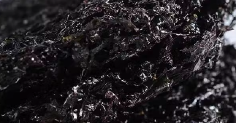 【推荐】霞浦水头菜一手货源大量批发可带包装欢迎订购