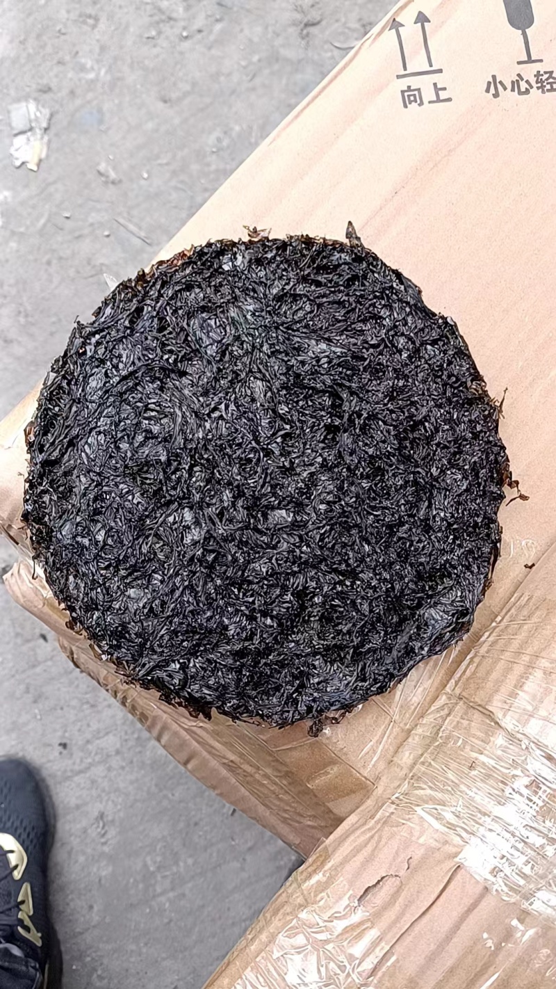 【推荐】霞浦紫菜一手货源大量批发可带包装欢迎订购