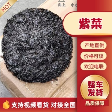 【推荐】霞浦紫菜一手货源大量批发价钱实惠保质保量