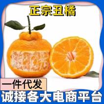 【热卖一件代发】云南丑橘一手货源欢迎各大电商平台合作