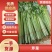 精品芹菜，保质保量诚信经营，量大从优全国代发