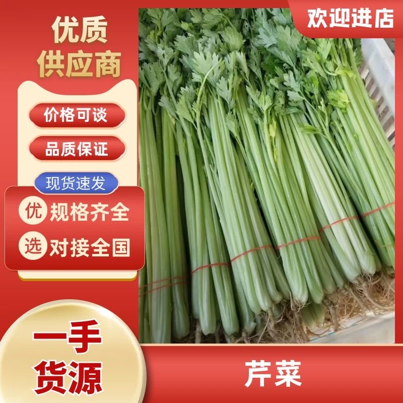 精品芹菜，保质保量诚信经营，量大从优全国代发
