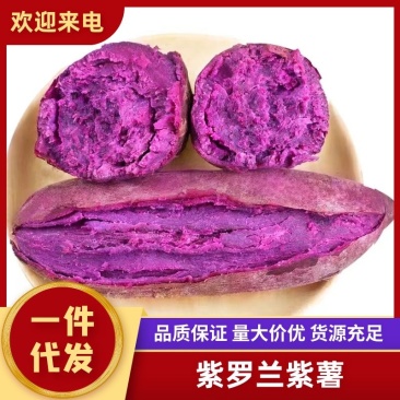 紫罗兰紫薯紫薯一件代发可对接电商，商超，市场