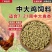 鸡鸭鹅颗粒饲料厂家直发可送货上门长期供货