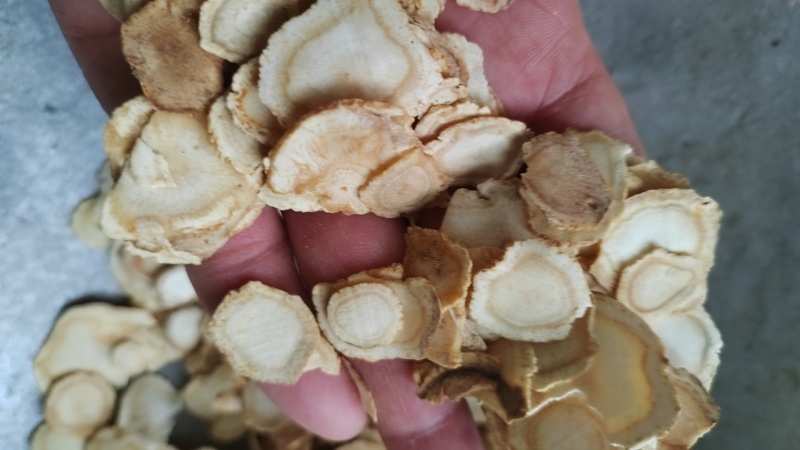 东北吉林西洋参片量大从优全国走货欢迎随时订购