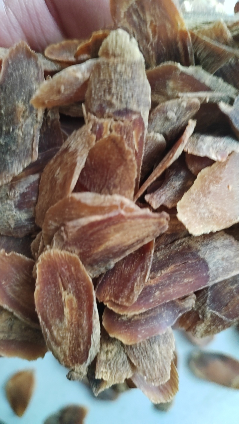 东北各种红参大量供应欢迎电话订购