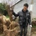 龙李苗新山苗场丰产蜂糖李优系青脆李嫁接树苗