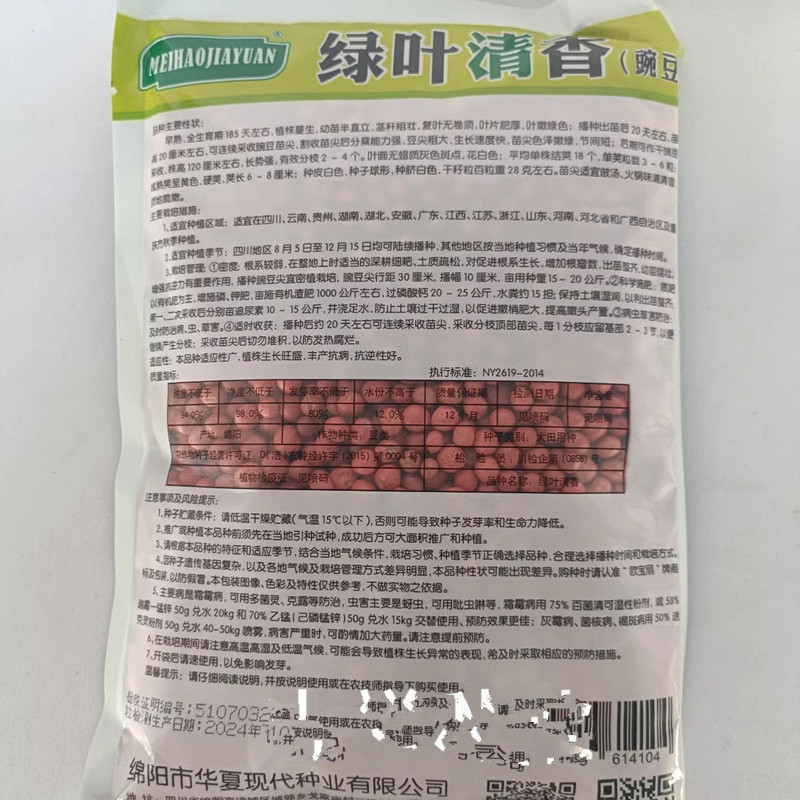 无须豌豆尖种子早熟叶片肥厚苗尖嫩绿节间短可连续采收