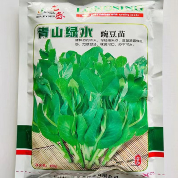 青山绿水豌豆苗种子清香鲜嫩专吃叶豌豆苗种子可连续采收