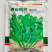 青山绿水豌豆苗种子清香鲜嫩专吃叶豌豆苗种子可连续采收