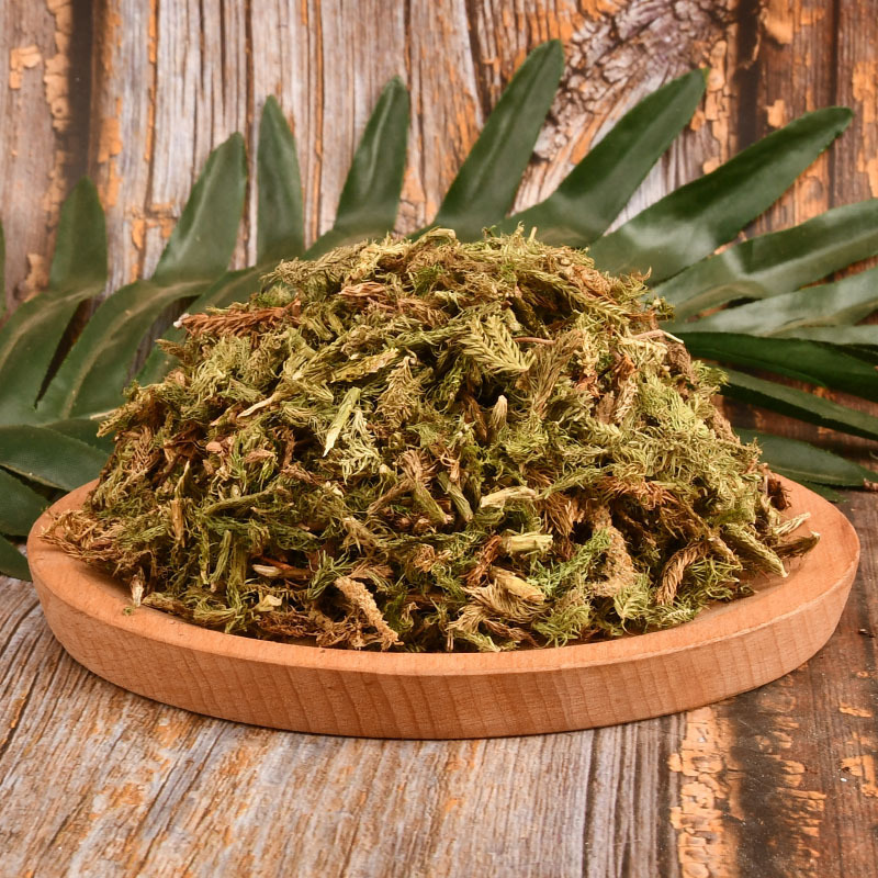 批发伸筋草藤石松吊白伸筋舒筋草马