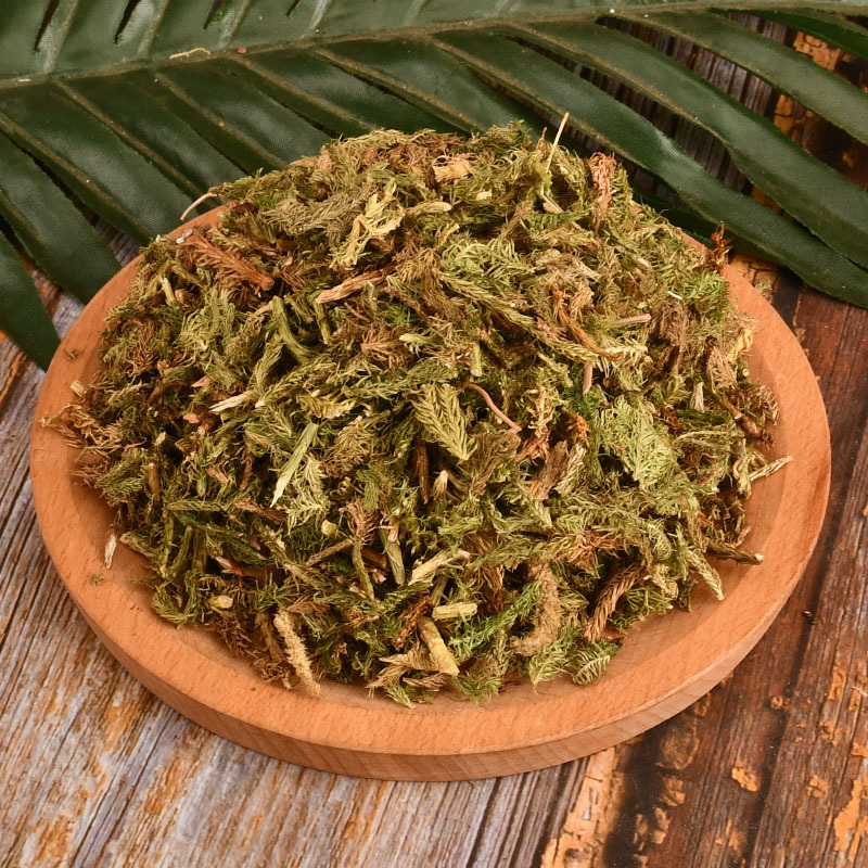 批发伸筋草藤石松吊白伸筋舒筋草马