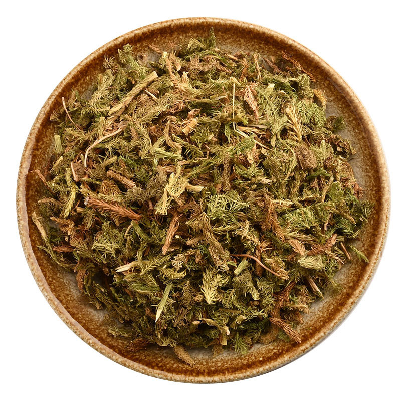 批发伸筋草藤石松吊白伸筋舒筋草马