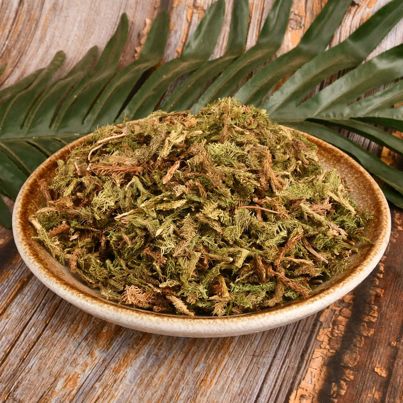 批发伸筋草藤石松吊白伸筋舒筋草马