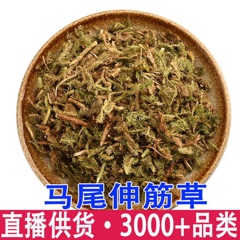 批发伸筋草藤石松吊白伸筋舒筋草马