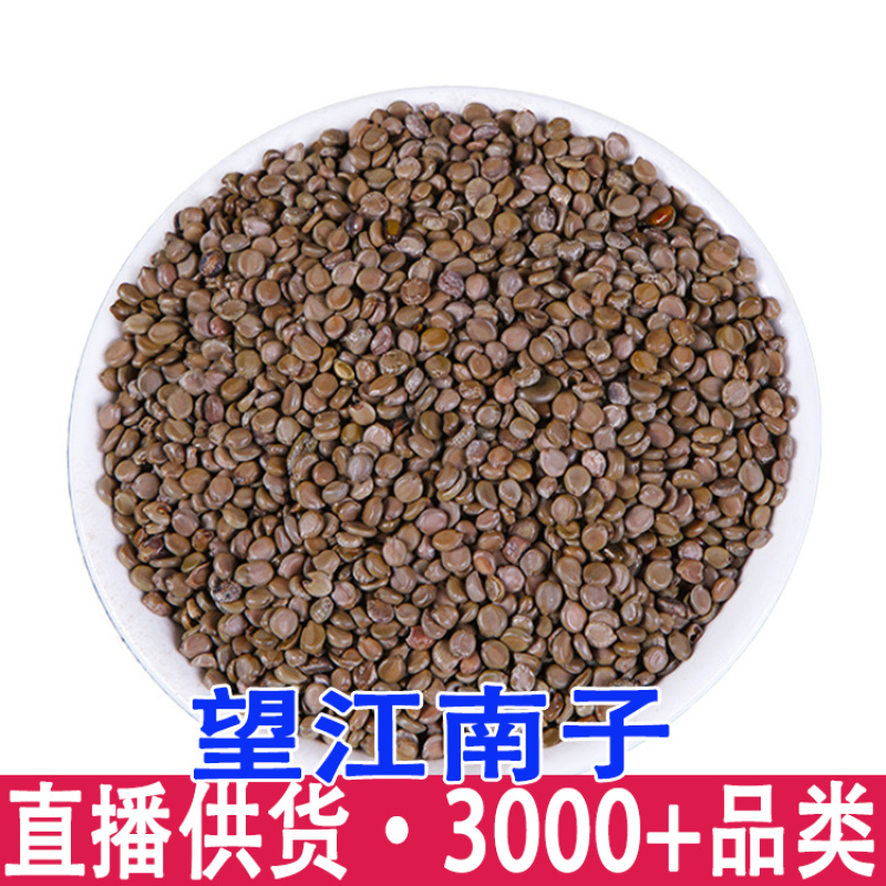 望江南望江南子灭蛇门种子