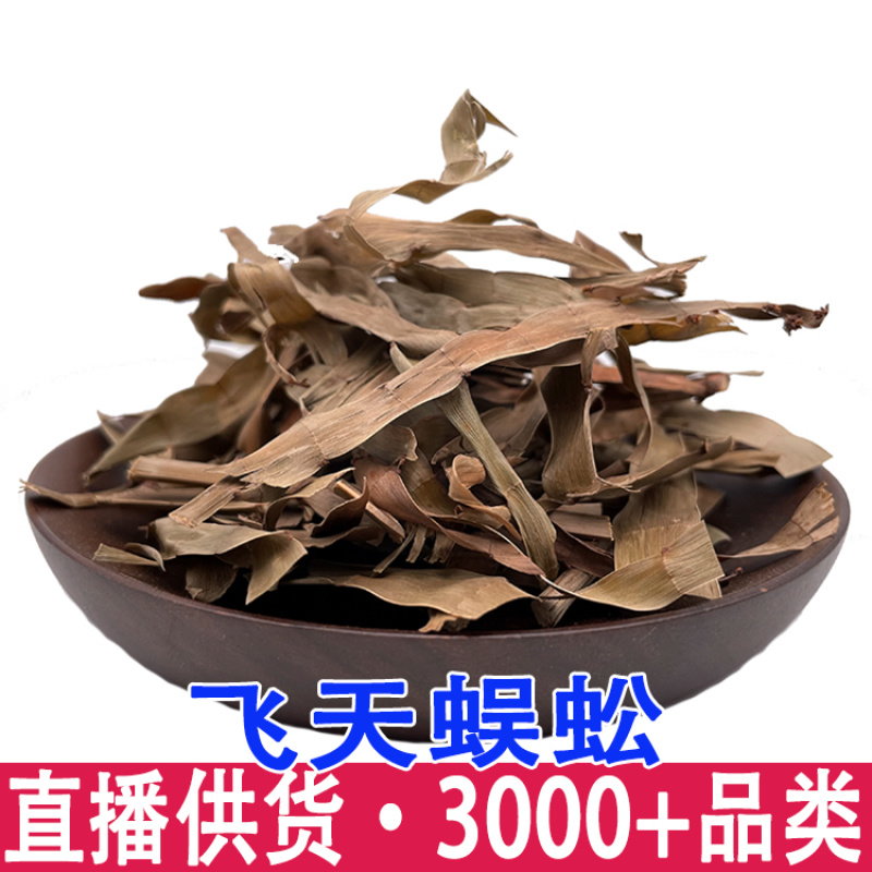 飞天蜈蚣百足草扁茎竹石上蜈蚣扁竹蓼