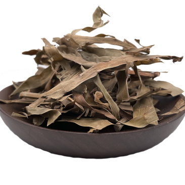 飞天蜈蚣百足草扁茎竹石上蜈蚣扁竹蓼