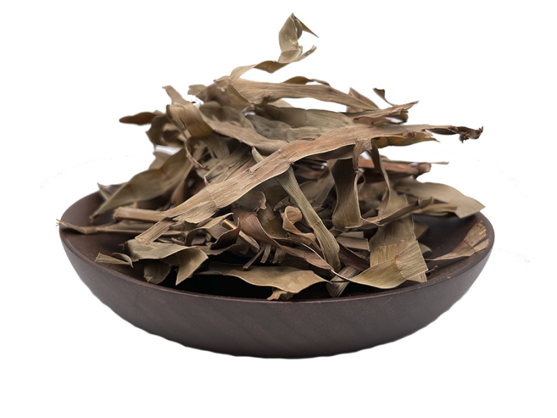 飞天蜈蚣百足草扁茎竹石上蜈蚣扁竹蓼