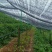 遮阳棚支架支持定制可循环使用厂家直供量大从优