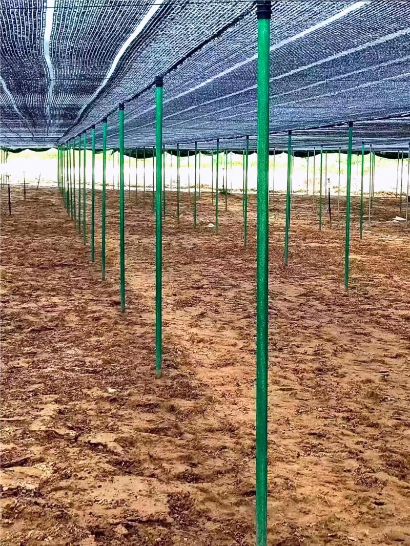 遮阳棚支架支持定制可循环使用厂家直供量大从优