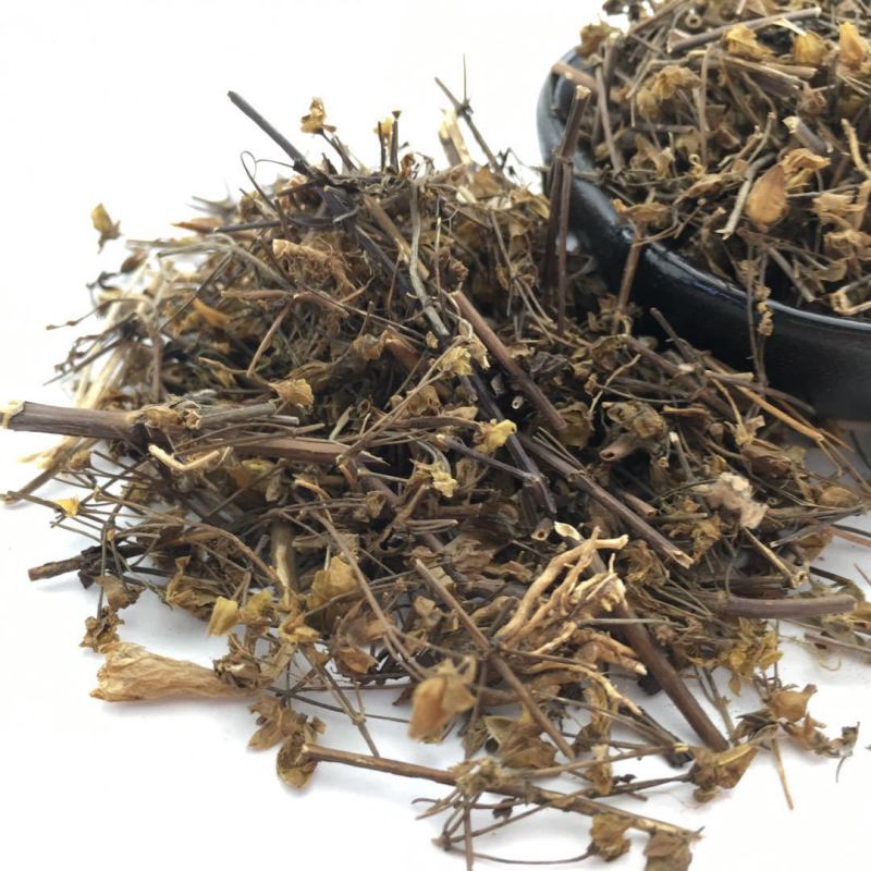 青叶胆批发青叶子胆獐牙菜正品实体店发量大质优