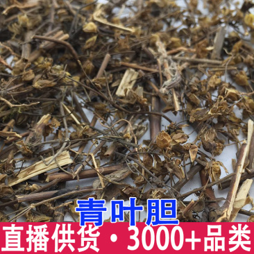 青叶胆批发青叶子胆獐牙菜正品实体店发量大质优