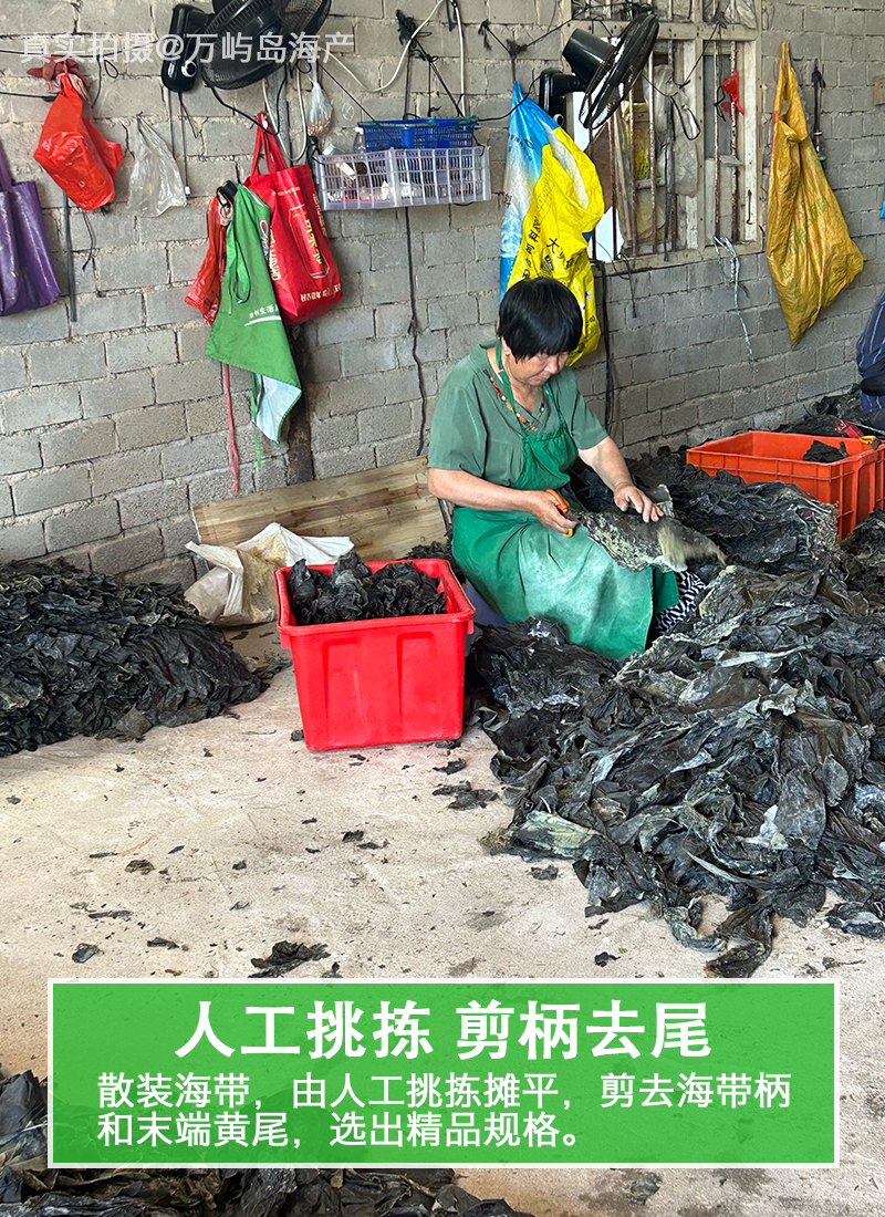 福建霞浦干海带出口品质90公分去头去尾下浒镇内