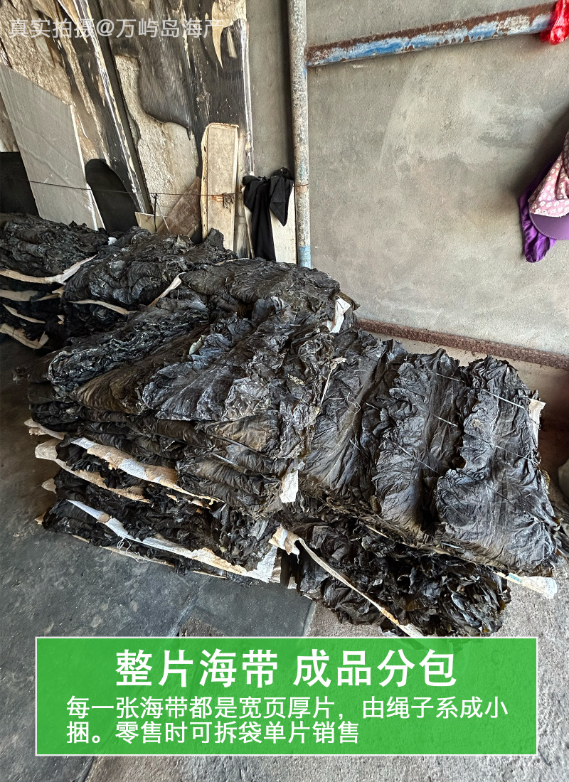 福建霞浦干海带出口品质90公分去头去尾下浒镇内