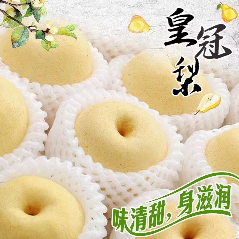 皇冠梨产地直发货源充足欢迎来电咨询