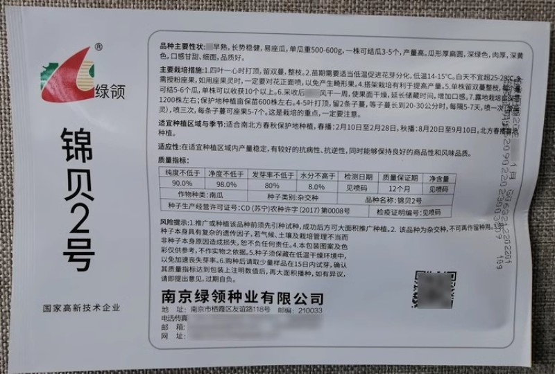 锦贝2号贝贝南瓜种子早熟肉厚深黄单瓜500-600克