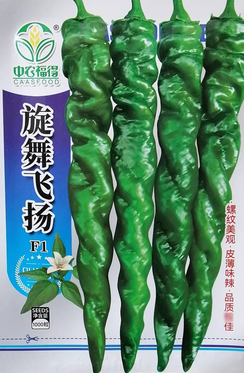 旋舞飞扬螺丝椒种子全螺旋辣椒种子皮薄味辣抗病