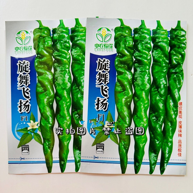旋舞飞扬螺丝椒种子全螺旋辣椒种子皮薄味辣抗病